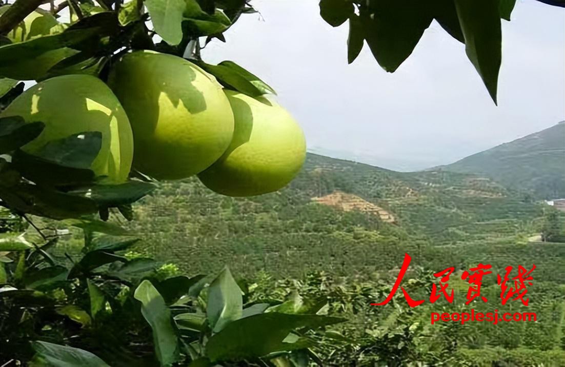 6729cec1741046fda0a4dac7d2cca2e0_noop