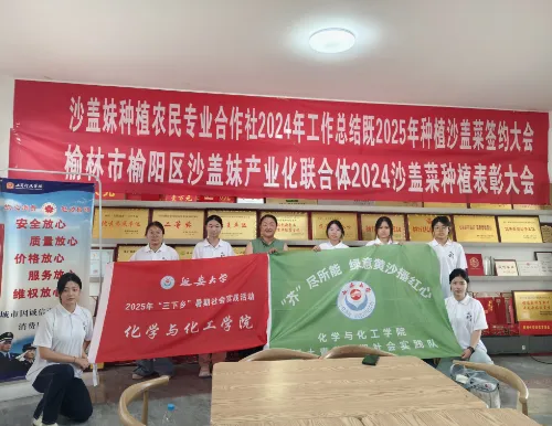 "芥"尽所能,绿意黄沙播红心——延安大学化学与化工学院开展沙芥生态与乡村经济实践调研 image.png