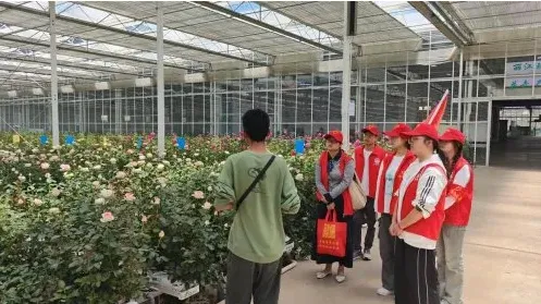 大连民族大学学子踏遍九州绿探寻美丽中国的实践密码 image.png