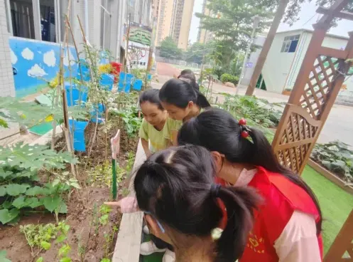 深耕红土地教育,播种成长希望——智农学院与小学劳动教育共建实践纪实 image.png