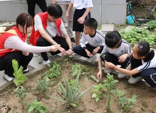 深耕红土地教育,播种成长希望——智农学院与小学劳动教育共建实践纪实 image.png