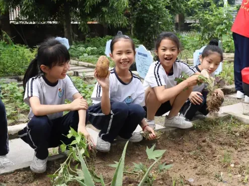 深耕红土地教育,播种成长希望——智农学院与小学劳动教育共建实践纪实 image.png