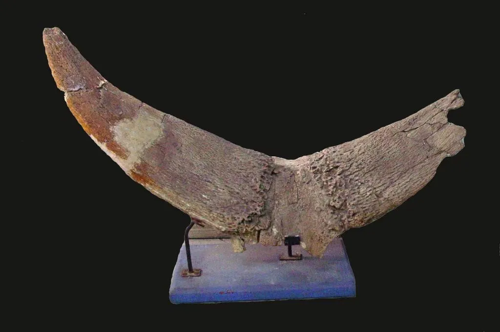 萨拉乌苏遗址百年薪火再添新证