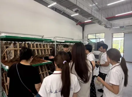 解码石泉蚕桑产业三阶段蜕变—西安航空学院通识教育学院学子开展三下乡实践 image.png